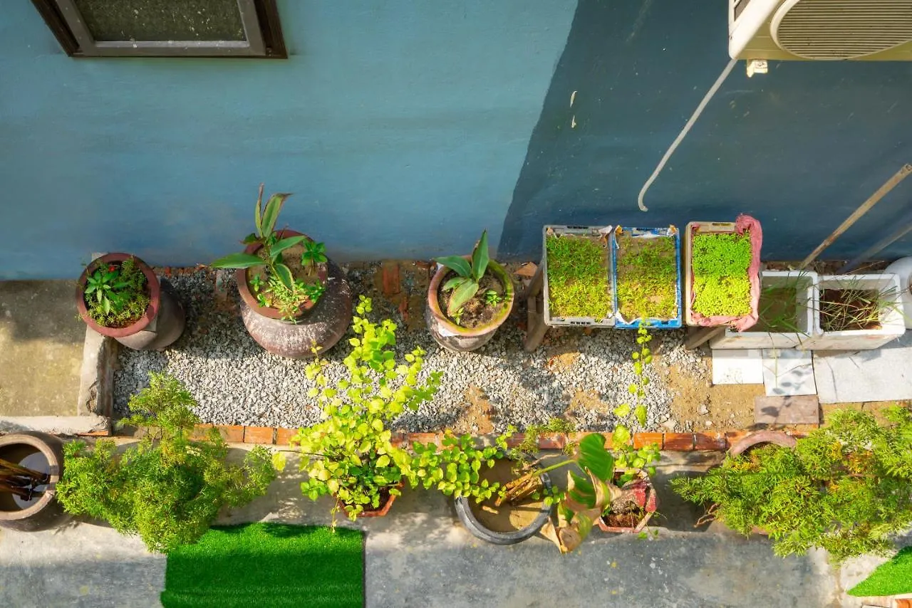 An Bang Sea Adventure Homestay Hoi An